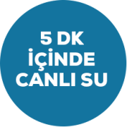 5dk-içinde